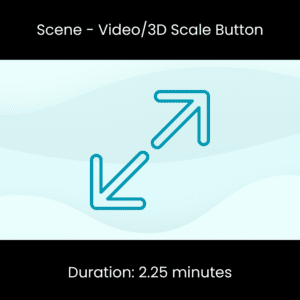 Scene - Video_3D Scale Button